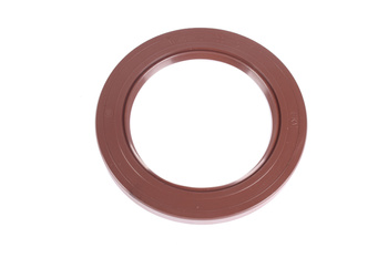 DICHTOMATIK 70X100X10 TESNENIE