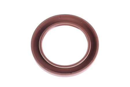 DICHTOMATIK 70X100X10 TESNENIE