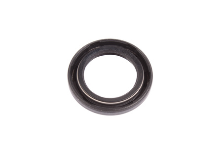 DICHTOMATIK 20X30X4 TESNENIE