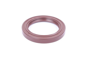 DICHTOMATIK 40X55X7 WAS SIMMERING TESNENIE