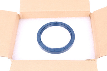 NAK 80X100X12 TC NBR-BLUE SIMMERING TESNENIE